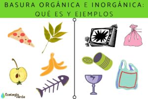 Déchets organiques et inorganiques : qu’est-ce que c’est et exemples