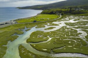 Delta: qu’est-ce que c’est, comment il se forme et ses types