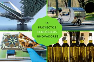 Des projets écologiques innovants