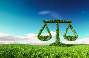 Déséquilibre écologique: qu’est-ce que c’est, causes, conséquences et exemples