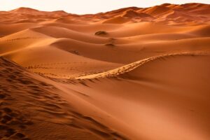 Dunes: qu’est-ce qu’elles sont, comment elles se forment, types et importance