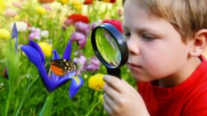 Entre école et nature : les conseils de Maria Montessori