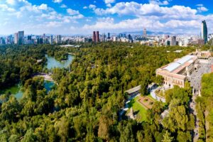 Forêts urbaines : qu’est-ce qu’elles sont, à quoi elles servent et leur importance