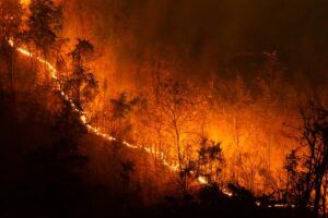 Incendies ou mégafeux de sixième génération : qu’est-ce que c’est et pourquoi ils sont si dangereux