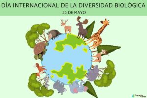 Journée internationale de la diversité biologique : qu’est-ce que c’est, quand c’est, pourquoi elle est célébrée et phrases