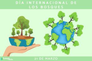 Journée internationale des forêts : quand est-elle et pourquoi est-elle célébrée ?