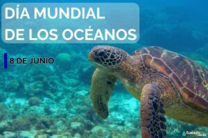 Journée mondiale des océans : quand est-elle et pourquoi est-elle célébrée ?