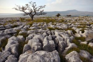 Lapiaces ou lenares : qu’est-ce qu’ils sont, comment ils se forment, types et où on les trouve