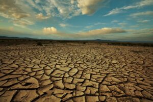 Le stress hydrique : qu’est-ce que c’est, causes, conséquences et comment l’éviter