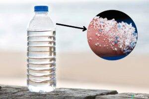 Microplastiques dans l’eau en bouteille : qu’est-ce que c’est, types et comment les éliminer