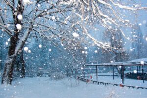 Neige: qu’est-ce que c’est, comment elle se forme et ses types