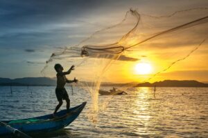 Pêche durable: qu’est-ce que c’est, avantages et types