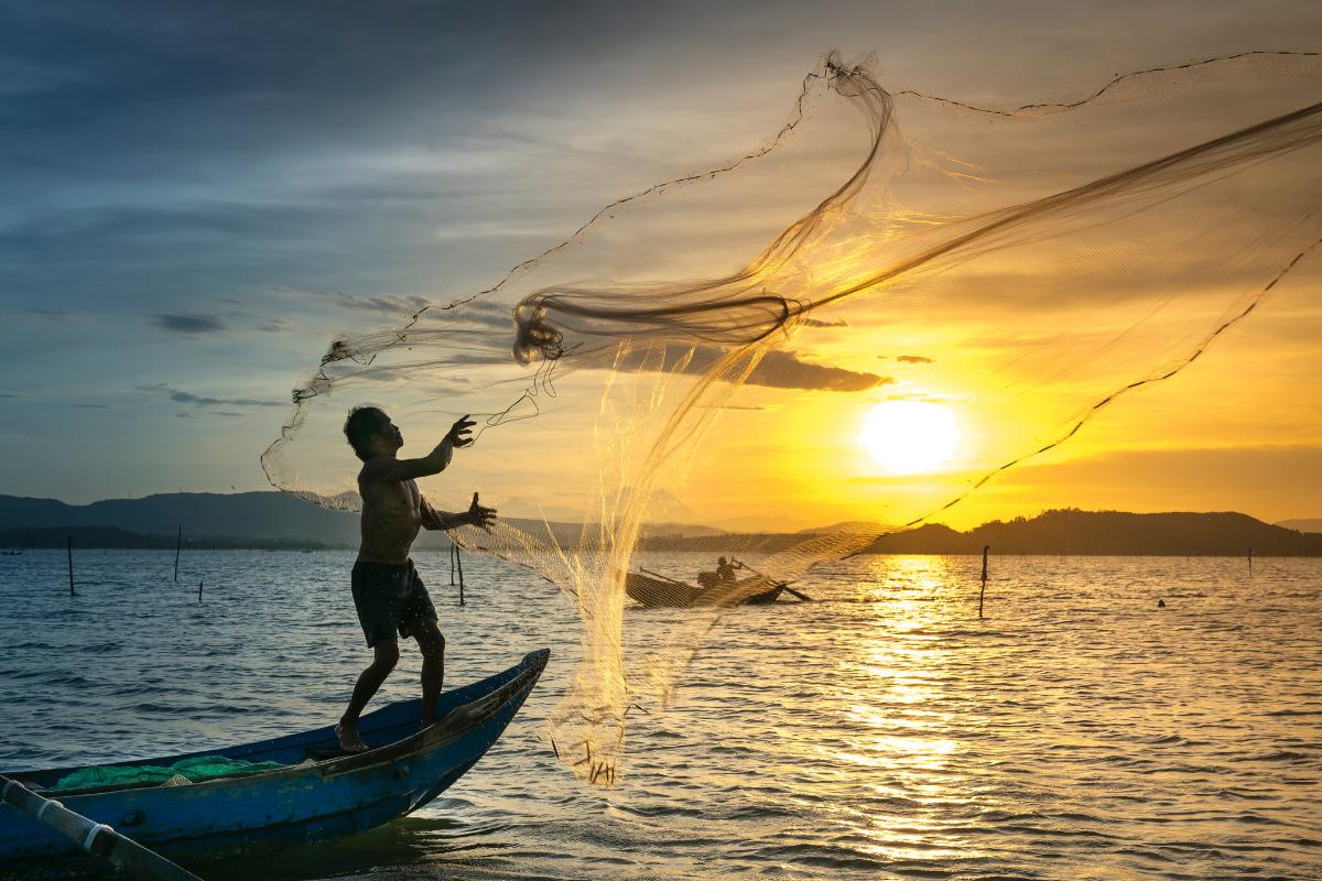 Pêche durable: qu'est-ce que c'est, avantages et types