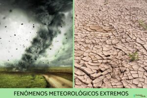 Phénomènes météorologiques extrêmes : qu’est-ce que c’est, causes, types et conséquences