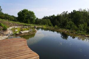 Piscines écologiques : comment elles fonctionnent, avantages et inconvénients