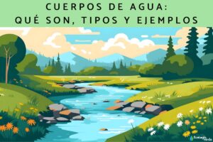 Plans d’eau : qu’est-ce que c’est, types et exemples