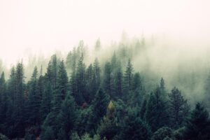 Pluie horizontale: qu’est-ce que c’est et où elle se produit