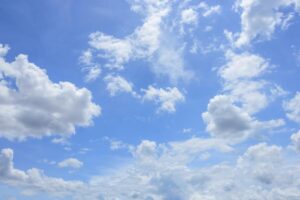 Pourquoi l’air est-il important pour les êtres vivants ?