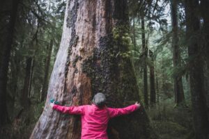 Que sont les écologistes et que font-ils ?