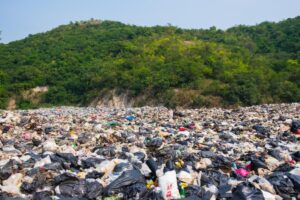 Que sont les îlots de plastique et comment se forment-ils ?