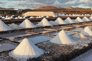Que sont les salines et comment se forment-elles ?