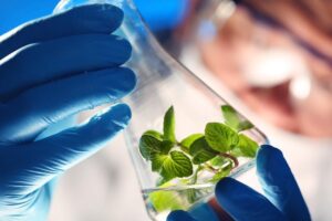 Qu’est-ce que la biotechnologie et à quoi sert-elle ?