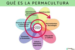 Qu’est-ce que la permaculture : principes et avantages