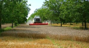 Qu’est-ce que l’agroécologie et son importance