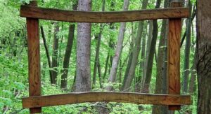 Qu’est-ce que l’écologie du paysage ?