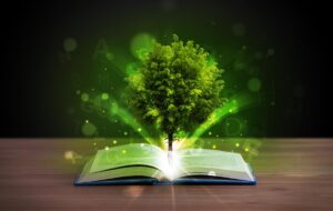 Qu’est-ce que l’éducation environnementale : concept et objectifs