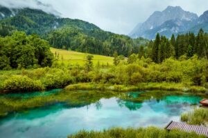 Qu’est-ce qu’un étang : caractéristiques, types, animaux et plantes et à quoi il sert