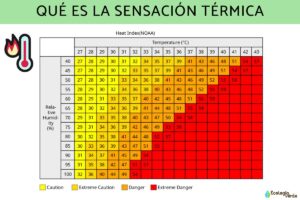Sensation thermique : qu’est-ce que c’est, comment elle est calculée et facteurs