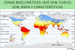 Zones bioclimatiques: qu’est-ce qu’elles sont, qu’est-ce qu’elles sont, carte et caractéristiques