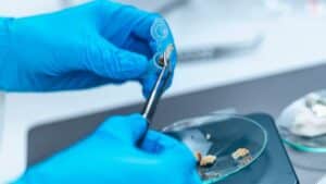 Illinois researchers develop molecule to recover gold and other metals from electronic waste using up to 100 times fewer chemicals