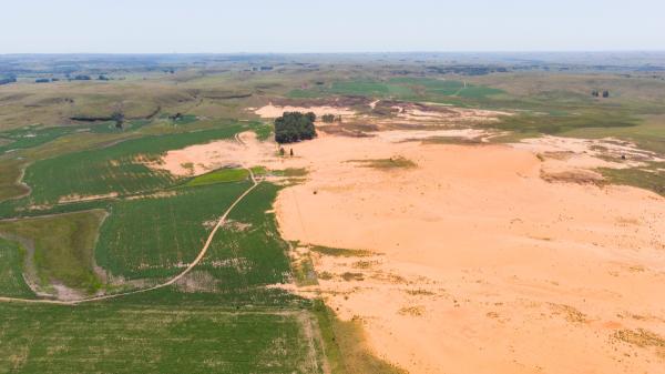 They failed by planting trees in the Sahara, but 500 turtles achieved what seemed impossible five years later - The key role of animals in the recovery of ecosystems