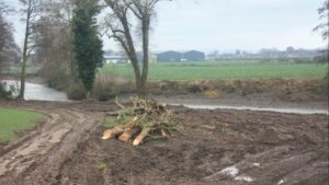 A 68-year-old farmer destroys 1.5 km of a river and cuts down 71 trees: he ends up in jail for “ecological vandalism”