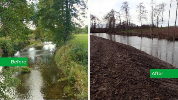 A 68-year-old farmer devastates 1.5 km of a river and cuts down 71 trees: he ends up in jail for “ecological vandalism” - He dredged and modified 1.5 kilometers of the river without authorization and uprooted 71 trees