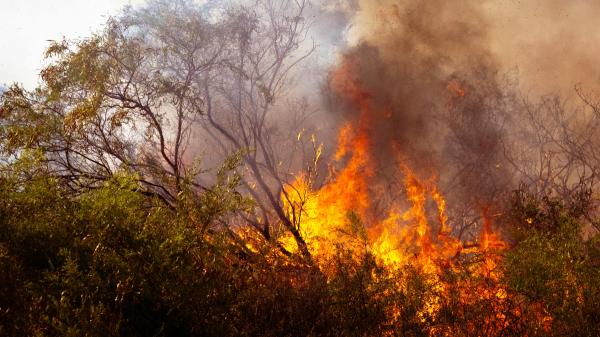 Summer in Spain is not like before: why it is getting longer, hotter and drier - How lack of rain and extreme heat increase the risk of fires and damage forests