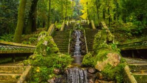 The first therapeutic forest on the Iberian Peninsula is in Portugal: what makes it so special