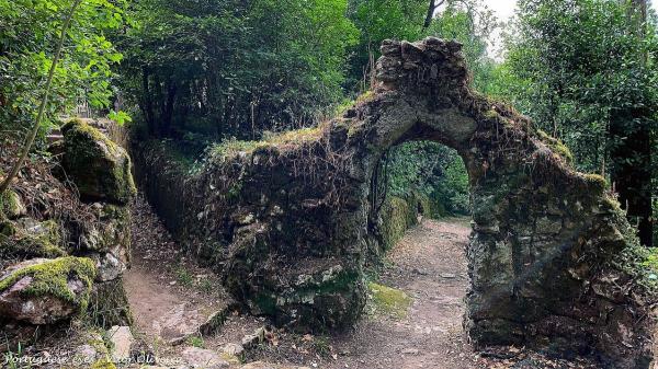 The first therapeutic forest on the Iberian Peninsula is in Portugal: what makes it so special - What does it mean for a forest to be therapeutic?