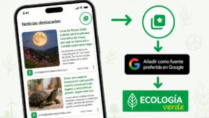 Google allows you to add Green Ecology as a preferred source in your searches