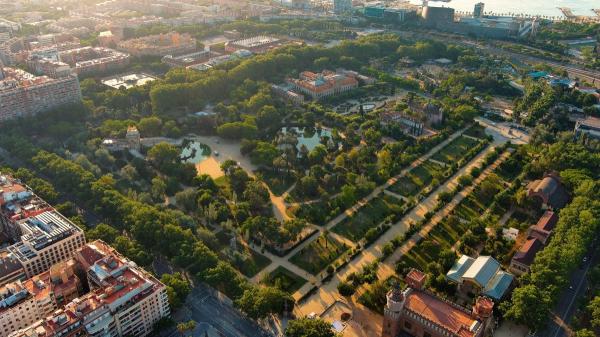 Environmentalists agree: “It is not wild boars who cross the roads, but the roads that cross their habitats” - The invisible impact: noise, light and traffic as ecological forces