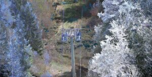 The digital twin of a forest