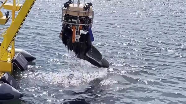 Marine biologists celebrate a historic advance: in Europe a robot is already removing garbage from the ocean with AI - A robot capable of lifting 250 kilos without damaging the ecosystem
