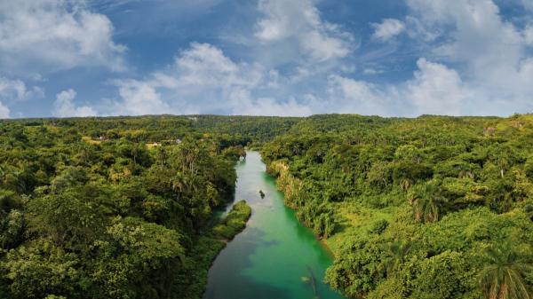 The Amazon still hides secrets: 118 new species discovered in Ecuador - The discovery of 118 new species in the Amazon