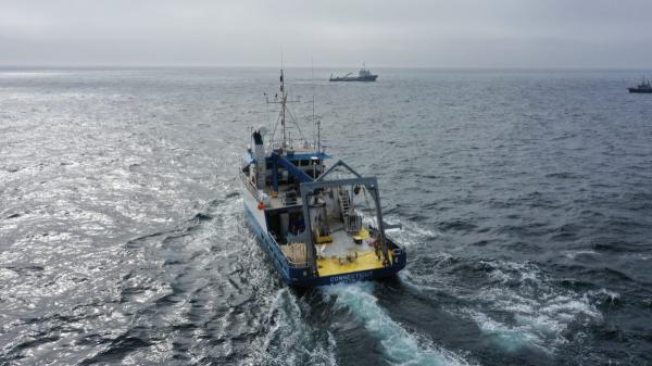 Scientists pour 62,000 liters of caustic soda into the ocean and dye it pink: this is how they want to capture more CO₂ - Why the ocean was dyed pink during the experiment