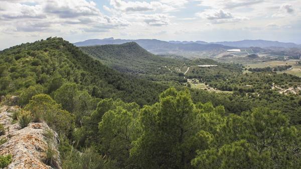 220 species of birds and exceptional biodiversity: this is Sierra Escalona, the future natural park of the Valencian Community - Sierra Escalona, closer than ever to becoming a natural park