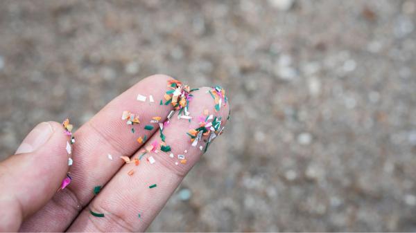 A beach can look completely clean and be full of microplastics: an expert explains why - A clean beach does not mean a beach free of microplastics