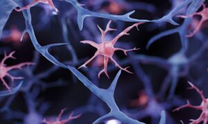 Between the ages of 50 and 75 the brain undergoes an important transformation (which could have something to do with the risk of dementia)