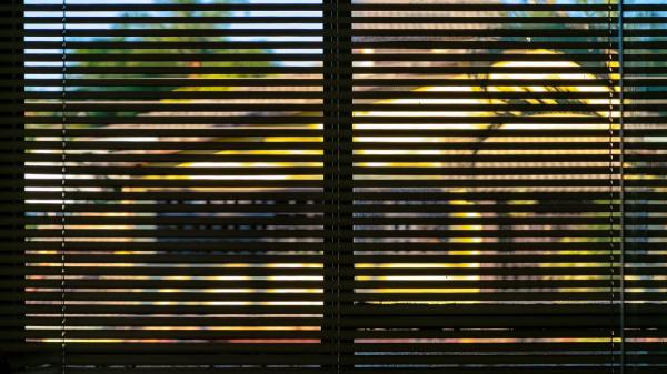 “Blocking solar radiation during the day is the most effective”: Germán Portillo, environmentalist, explains how to keep the house cool without air conditioning - The key is to prevent heat from entering the home